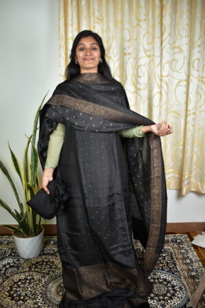 BS008 Banarasi salwar sets..