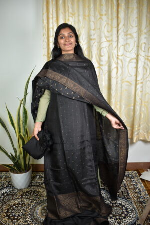 BS008 Banarasi Salwar sets