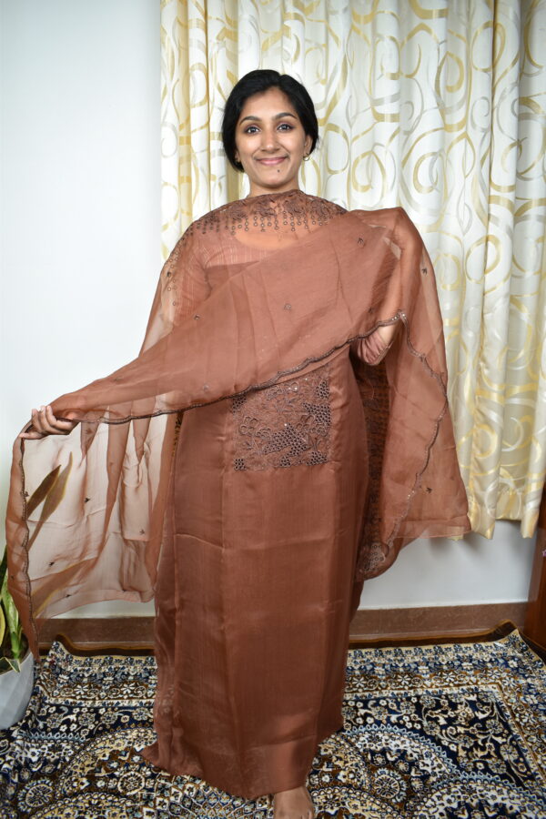 Code:ORS167,Organza salwar sets... with cut worked yoke and dupatta